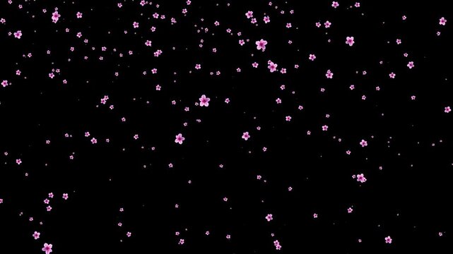 alpha Peach blossoms slowly fall(After Effects production)

