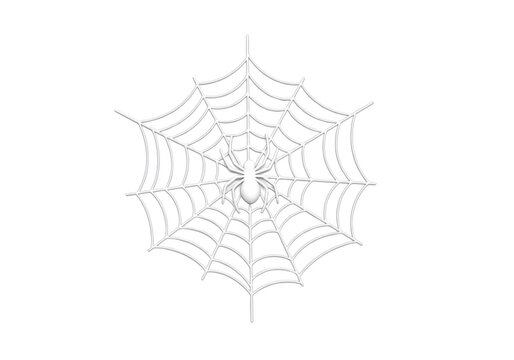 Spider sitting in its web.