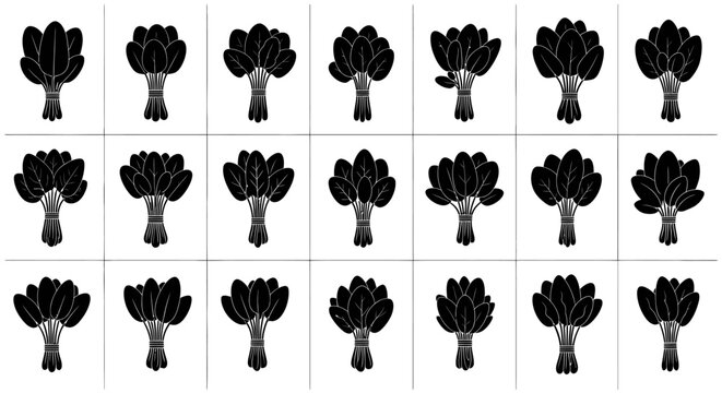Collection of black silhouette illustrations of fresh spinach bundles tied with twine showcasing leafy greens in a grid layout on a clean white background perfect for culinary