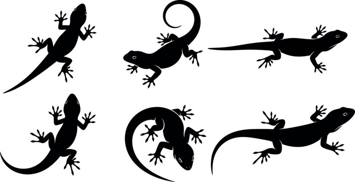 Set of lizard silhouettes in different poses isolated on white background reptile gecko animal vector illustration collection