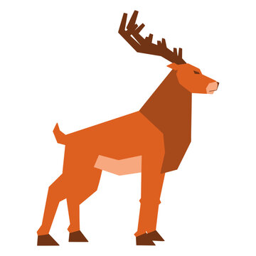 Wild Deer &ndash; World Wildlife Day