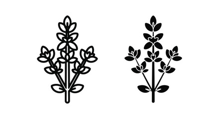 Fototapeta premium Thyme herb icon set