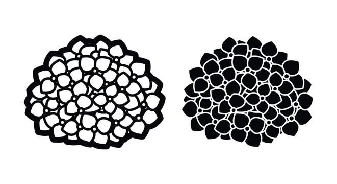 Hydrangea flower head silhouettes