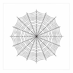 Obraz premium Black and White Spider Web Illustration