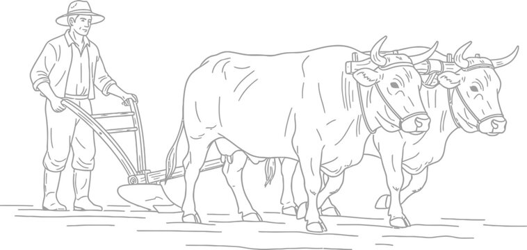 Line of a farmer plowing with two oxen line agriculture farming
