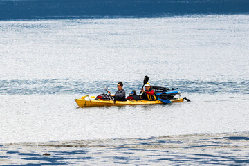 Naklejka premium Pitt Lake Moments - where water meet wild