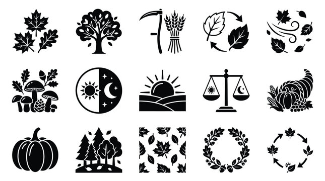 Collection of black and white icons representing autumn, harvest, and seasonal changes, including leaves, pumpkins, and a cornucopia.