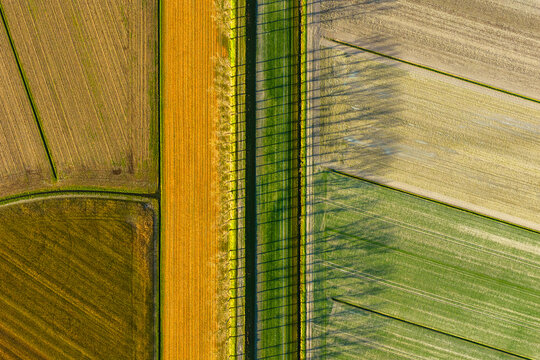 Aerial view of geometric agricultural fields in various colors with a tree-lined path casting long shadows in Mont Saint-Michel, Normandy, France.