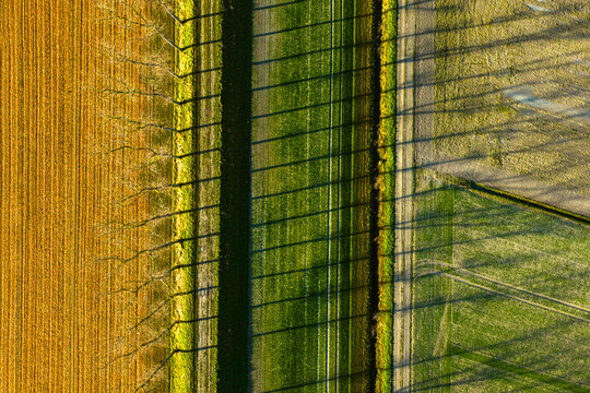 Aerial view of geometric agricultural fields with long tree shadows stretching across green and brown land during golden hour Mont Saint-Michel, Normandy, France.
