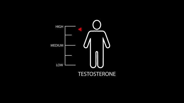 Hormone testosterone level measuring scale with man.