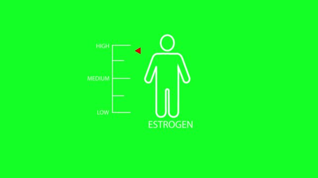Hormone estrogen level measuring scale with man.