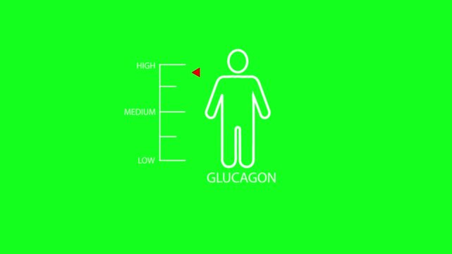 Hormone glucagon level measuring scale with man on green background.Glucagon peptide hormone level on measure scale.
