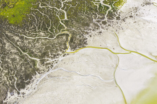 Aerial view of intricate dendritic patterns of water channels and green algae on a sandy coastal estuary Goulven, Brittany, France.
