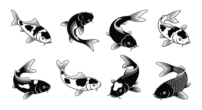 Koi fish collection black and white vector illustration on white background