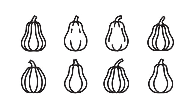 Outline Collection of Various Pumpkins and Gourds Isolated on White Background