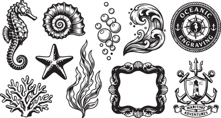 Ocean Marine Engraving Icon Set Seahorse Wave Coral Outline Vector © Nurjjaman