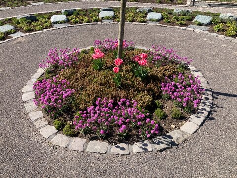 Rundes Beet mit Blumen  im Park /Parkfriedhof