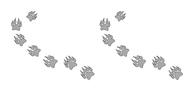 Animal Paw Prints Vector Set, Wild Creature Footsteps Trail, Canine Wolf Tracks, Nature Wildlife Graphic Element, Gray on White Background