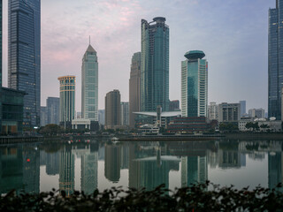 Fototapeta premium Wide twilight cityscape with modern skyscrapers reflecting in calm lake with foreground plants