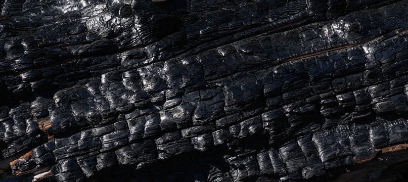 Verbranntes Holz