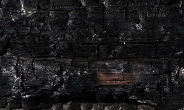 Verbranntes Holz