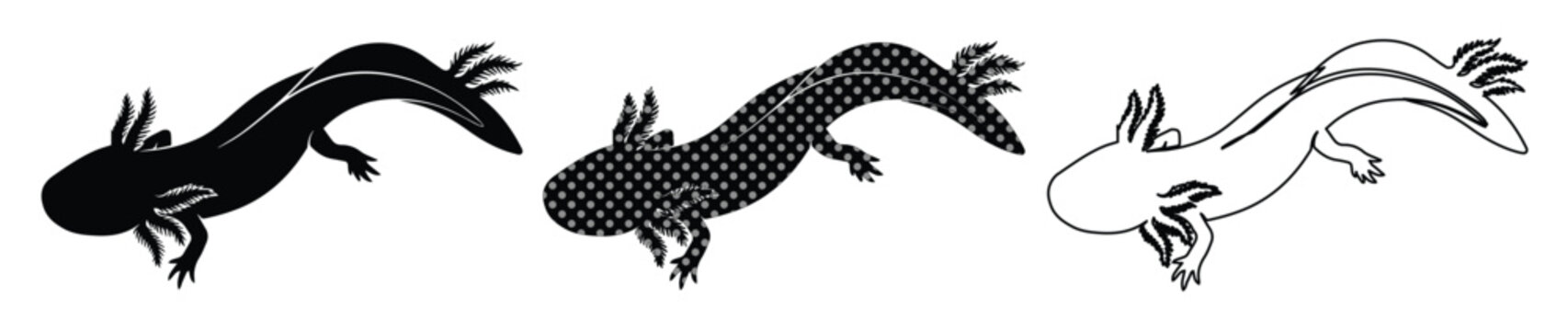Axolotl vector silhouettes and line art set, black and white mexican salamander icons, minimalist aquatic amphibian illustrations for nature logos