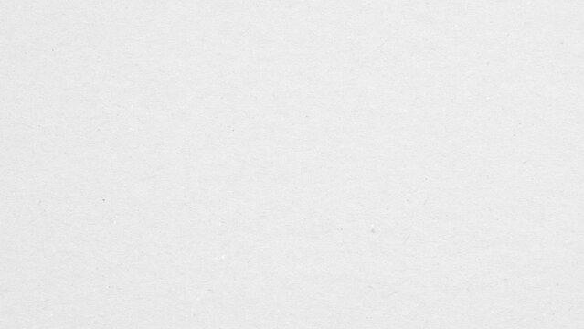White Textured Paper Background with Fine Fiber Grain