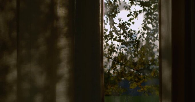 Soft curtains move gently as sunlight filters through leaves casting shadows inside.