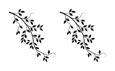Elegant black leaf branch silhouettes, decorative floral vine vector elements, minimalist botanical foliage illustrations for wedding invitations © Asma