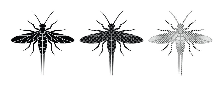 Mayfly insect silhouette vector set, black and white aquatic fly icons, 3 detailed ephemeroptera bug illustrations for biology and fly fishing
