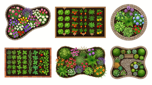 Top View Garden Bed Illustrations Set with Flower Beds Vegetable Gardens and Herb Layouts for Landscaping Design Planning and Home Gardening Projects Concept