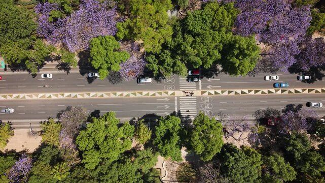 Top down view of urban avenue in Mexico City during sunny weather