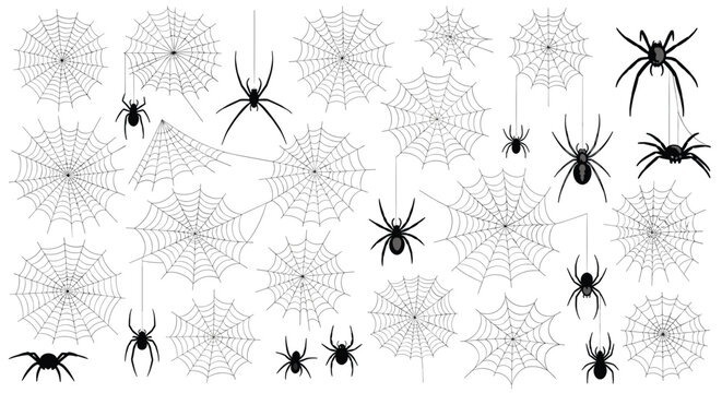 Diverse assortment of black spiders and intricate white spider webs are scattered across a clean white background in various sizes.