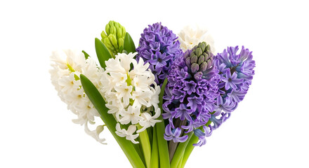 Fototapeta premium Vibrant bouquet of purple and white flowers on transparent background