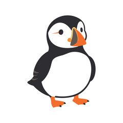 Fototapeta premium Cartoon puffin bird with orange feet and a colorful beak stands in a simple illustration