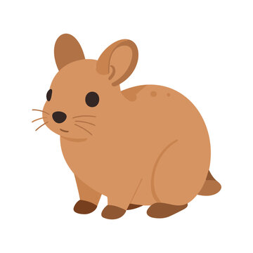 Cute brown viscacha illustration of a rodent native to South America in a cartoon style