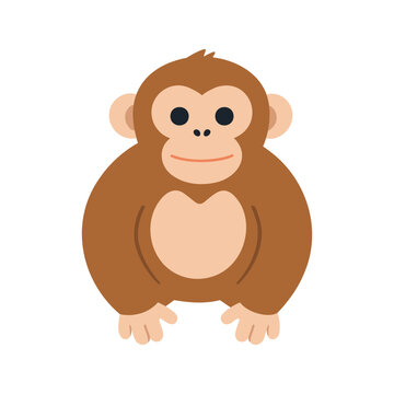 The cartoon illustration shows a monkey with a round face, large eyes, and a light tan belly patch; it sits with its hands resting in front.