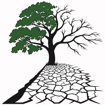 Illustration contrasting a vibrant leafy tree with barren leafless trees in a split landscape