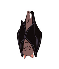Obraz premium Cute bat is hanging upside down and having a nap. Funny vampire animal sleeps and smiles. Happy baby character of Halloween with folded wings has a rest. Flat isolated vector illustration on white