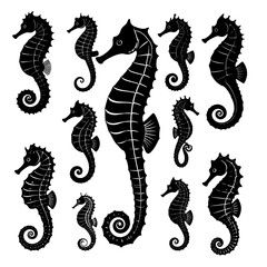 Fototapeta premium Black seahorse silhouettes on white background