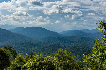 Fototapeta premium Scenic mountain landscape of a tropical rainforest wilderness on a cloudy day