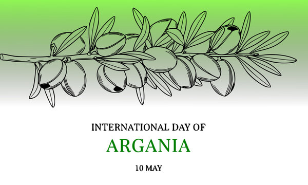International Day of Argania 10 May celebration banner with hand-drawn argan branch, fruits and leaves on green gradient background in botanical sketch style