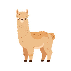 Fototapeta premium Illustration of a cute cartoon llama standing on a white background