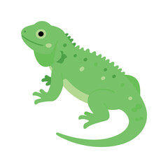 Fototapeta premium Cartoon green iguana with a spiky back stands on a white background