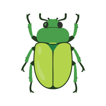 Isolated green june beetle on white background in cartoon style illustration