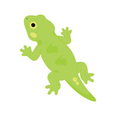Fototapeta premium Green lizard crawls with its sticky feet and tail in a cartoon depiction on white