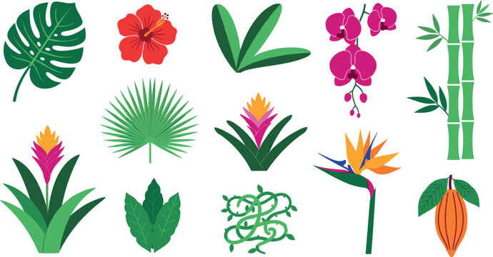 Tropical Plants and Foliage Icon Set with Monstera, Hibiscus, Orchid, Bamboo, Palm Leaves, Bromeliads, Bird of Paradise, Cacao, and Exotic Greenery for Digital and Botanical Designs