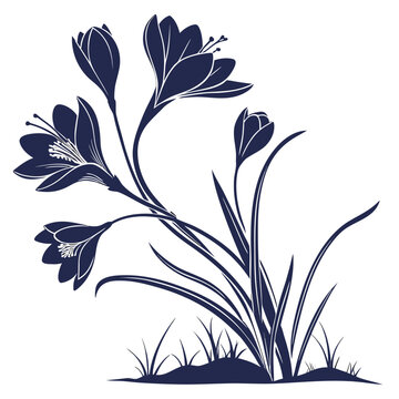 autumn crocus silhouette on white background