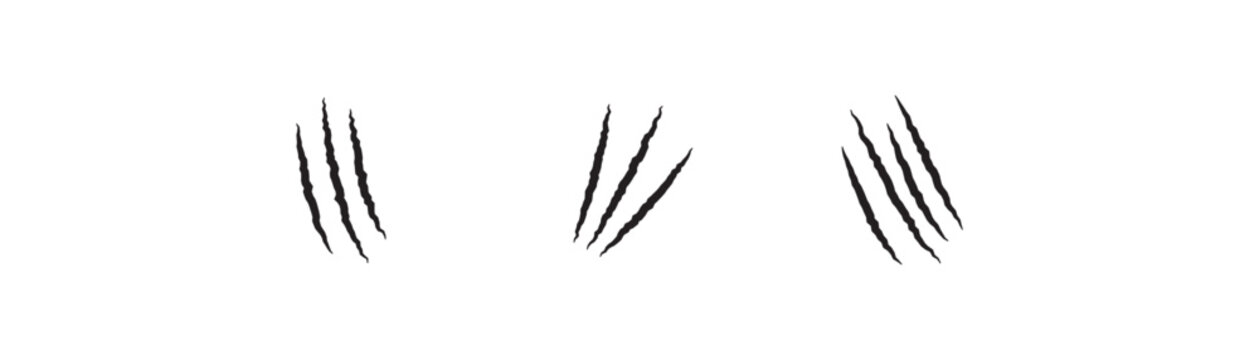 Set of Animals claw black scratches icons. claw marks on a white background resembling a fierce animal attack or a wild beast's signature silhouette.
