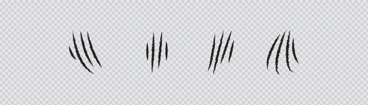 A silhouette of sharp black claw marks on a plain transparent background resembling tiger or bear scratches